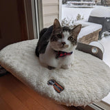 Universal Mount Kitty Sill