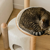 BAO Modern Cat Tree - NEW!!!