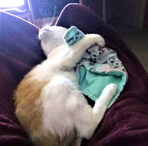 Cheezecat Refillable Catnip Play Mats - New Designs!