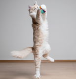 Heart Catnip Tassel Toy - SALE 40% OFF!