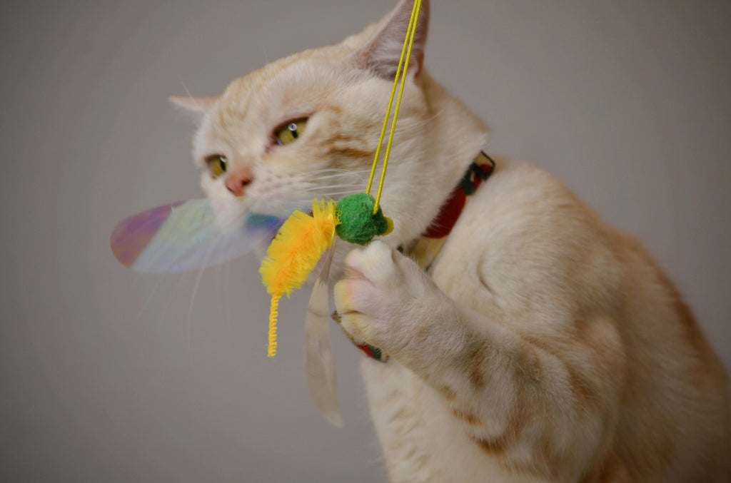 Crinkly Critters Bouncy Bee Adjustable Cat Wand Toy - NEW!!!