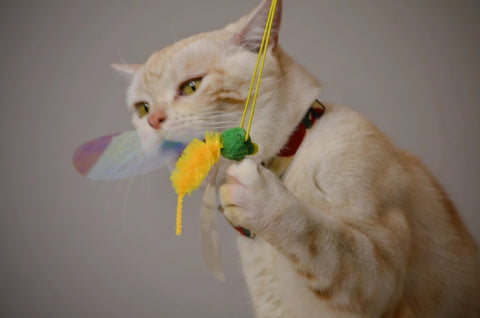 Crinkly Critters Bouncy Bee Adjustable Cat Wand Toy - NEW!!!