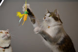 Crinkly Critters Bouncy Bee Adjustable Cat Wand Toy - NEW!!!