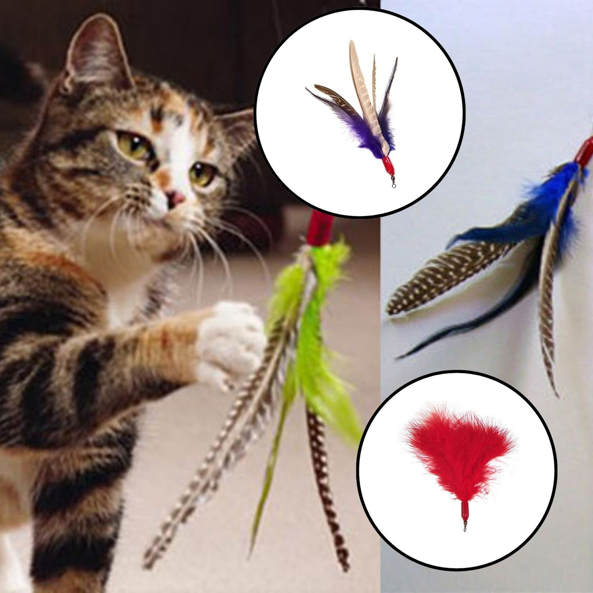 Da Bird™ Cat Wand Toy -All Time Favorite -Several Attachments Availabl