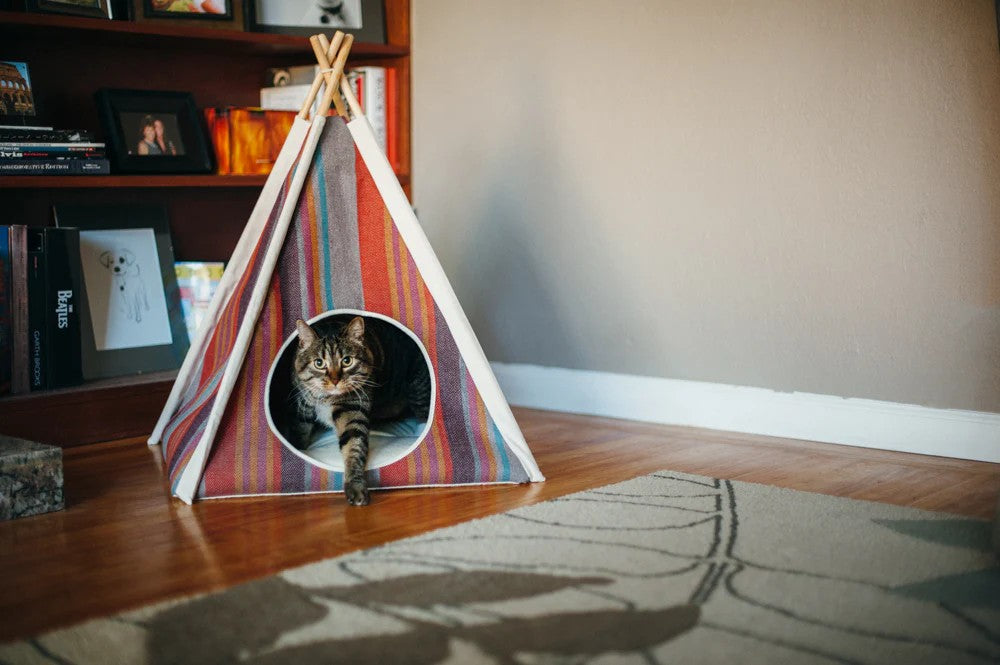 TeePee Playhouse and Hideaway - Horizon Design