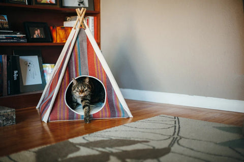 TeePee Playhouse and Hideaway - Horizon Design