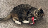 Honeysuckle Catnip Refillable Pouch - LOW STOCK!
