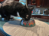 Laurel Burch™ Bella Garden Cat Food & Water Bowl - NEW!!!