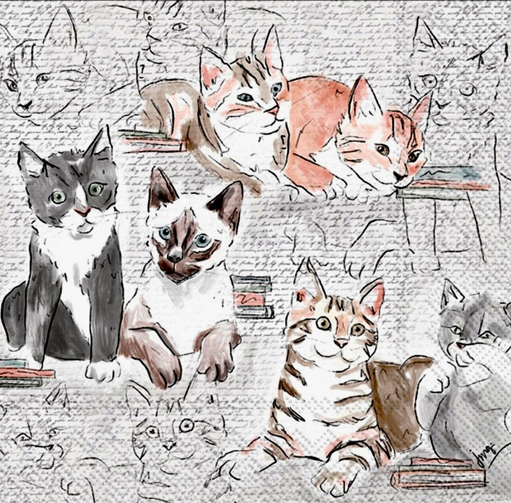 Library Cats Cocktail/Appetizers Napkins - 20Pk - NEW!!!