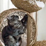 Lua Cat Tree - NEW!!!