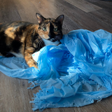 Dezi & Roo Magic Carpet Toy