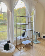 Cat Furniture