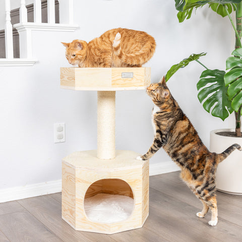 Scots Pine Cat Lounger and Scratcher