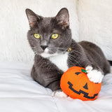 Yeowww!™ Fresh Pumpkin Catnip Toy