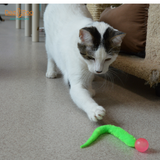 Dezi & Roo Wiggly Ball Cat Toy