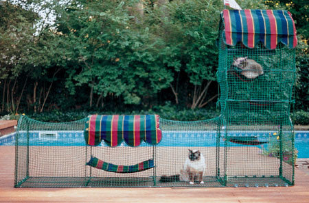 Kittywalk® Town & Country