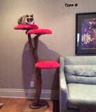 Custom Natural Cat Furniture