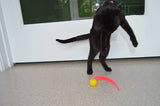 Dezi & Roo Wiggly Ping Cat Toy