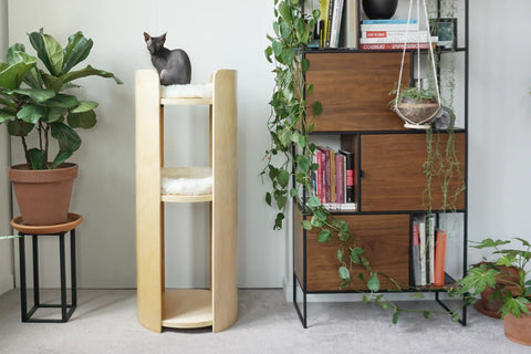 The CASTILLO Tall Cat Tower