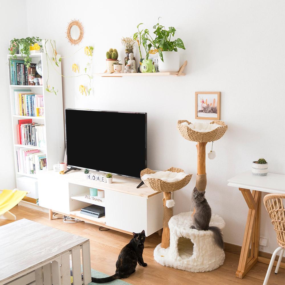 CENTO Cat Tree for ALL SIZE CATS