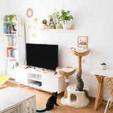 CENTO Cat Tree for ALL SIZE CATS