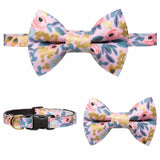 Catchella Matching Detachable Bow Tie & Collar Set