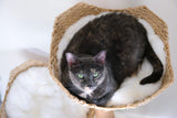 CENTO Cat Tree for ALL SIZE CATS