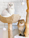 CENTO Cat Tree for ALL SIZE CATS