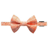 The Firecracker Matching Cat Bow Tie & Collar Set - NEW!!!