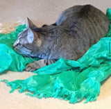 Dezi & Roo Magic Carpet Toy