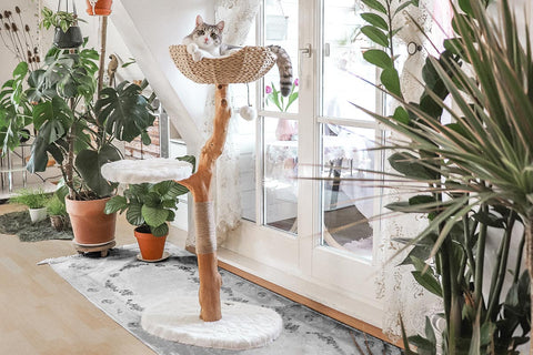 UNI Cat Tree
