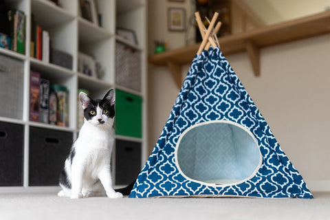 TeePee Playhouse and Hideaway - Moroccan Design!