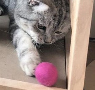 Mini Wool Cat Bat-a-bout Toy Ball Set of 6