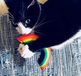 Yeowww!  Catnip Rainbow Toy