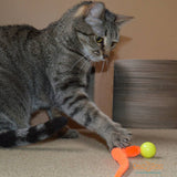 Dezi & Roo Wiggly Glow Ball Cat Toy