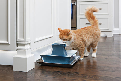 Drinkwell Pagoda Cat Fountain - Teal Ceramic