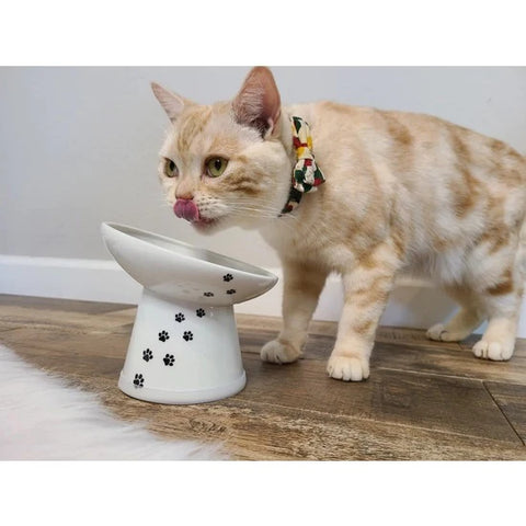 Stress-Free Tilted, Raised Porcelain Cat Food Bowl