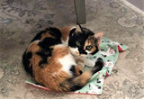 Cheezecat Refillable Catnip Play Mats - New Designs!