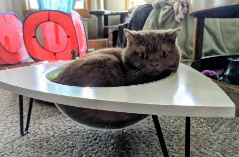 White Tripod Cat Lounger