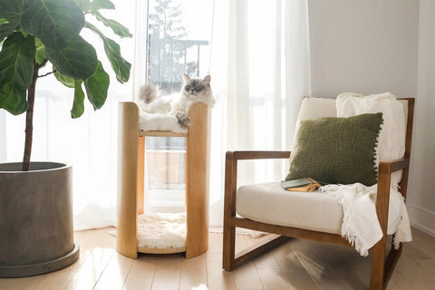 The CASTILLO Cat Tower