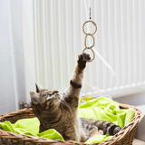Dezi & Roo Oh-Ring Toy and Attachment for Wiggly Wand