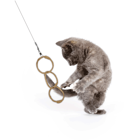 Dezi & Roo Oh-Ring Toy and Attachment for Wiggly Wand