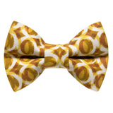 The Wild Thing Matching Detachable Bow Tie & Collar Set