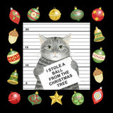 "I Stole a Ball" Christmas Cat Mini Gift Tote - NEW!!!