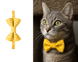 Always Sunny in Pickledelphia Matching Detachable Bow Tie & Collar Set