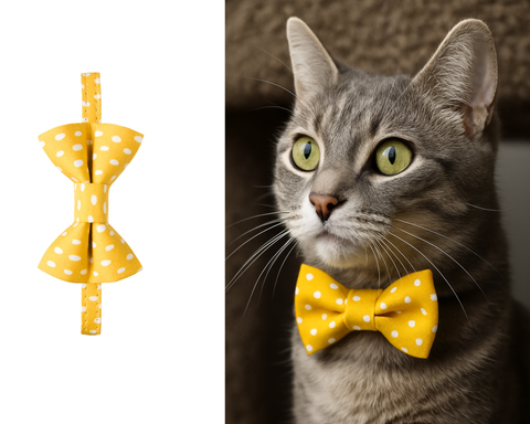 Always Sunny in Pickledelphia Matching Detachable Bow Tie & Collar Set