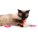 Atomic Flyers Cat Toys