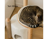 BAO Modern Cat Tree - NEW!!!