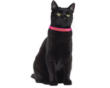 Pink Velvet Cat Breakaway Collar - NEW!!!