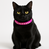 Pink Velvet Cat Breakaway Collar - 2 Sizes Available -NEW!!!